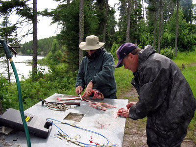 Canadian Fly-In Fishing Knox Lake Outpost