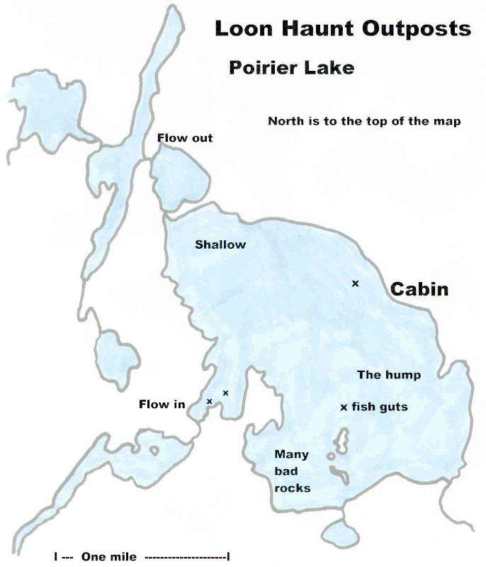Loon Haunt Outposts Poirier Lake Outpost